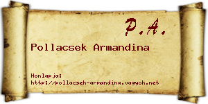 Pollacsek Armandina névjegykártya